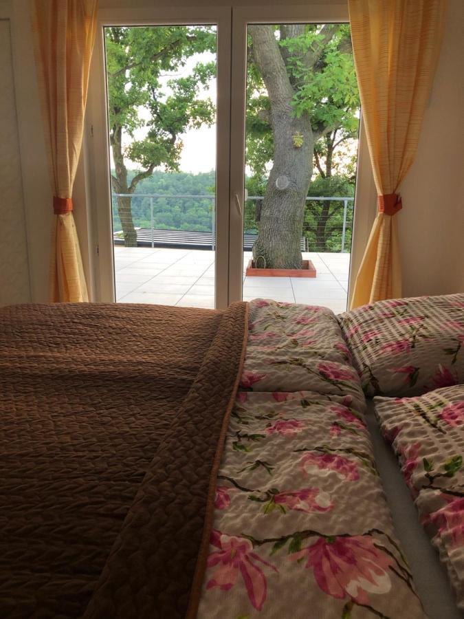 Apartman - D - Vyhlidka Nad Rekou Zdiby المظهر الخارجي الصورة